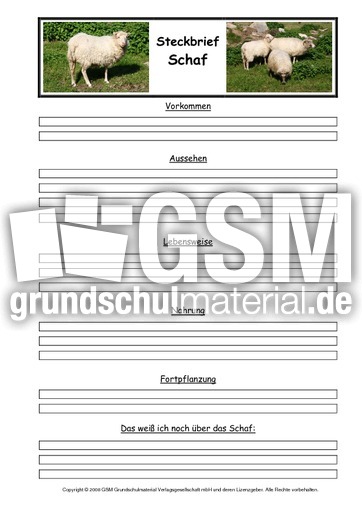 Schaf-Steckbriefvorlage.pdf